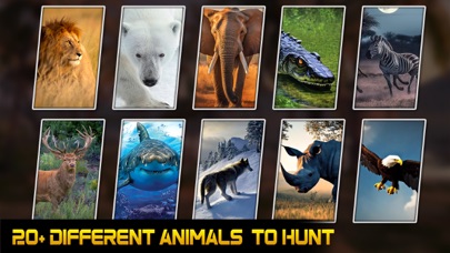 Wild Deer Hunt Games Screenshot