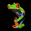 Costa Rica Nature - mydigitalearth.com