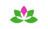 Yoga Studio: Classes and Poses