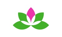 Yoga Studio: Classes and Poses