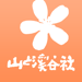 野に咲く花（山溪ハンディ図鑑） 