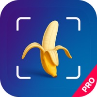 나노바나나 - Nano Banana  PC 용