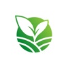 EzGreen icon
