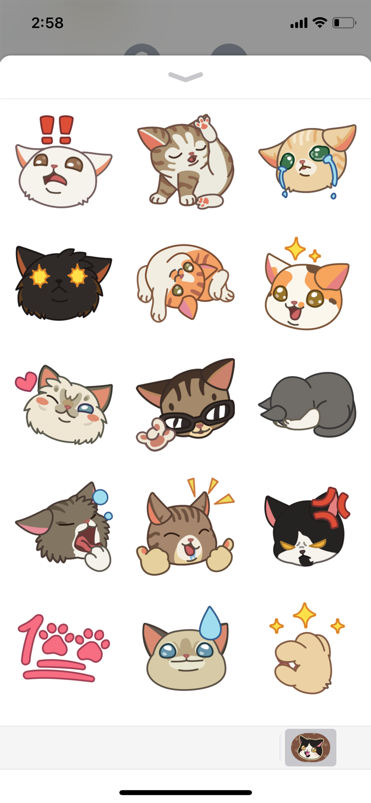 Furistas Cat Cafe screenshot 11