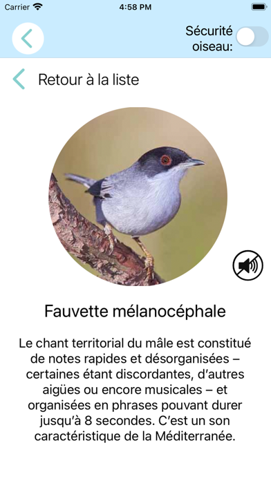 CuiCuiMatique chants d'oiseauxのおすすめ画像6