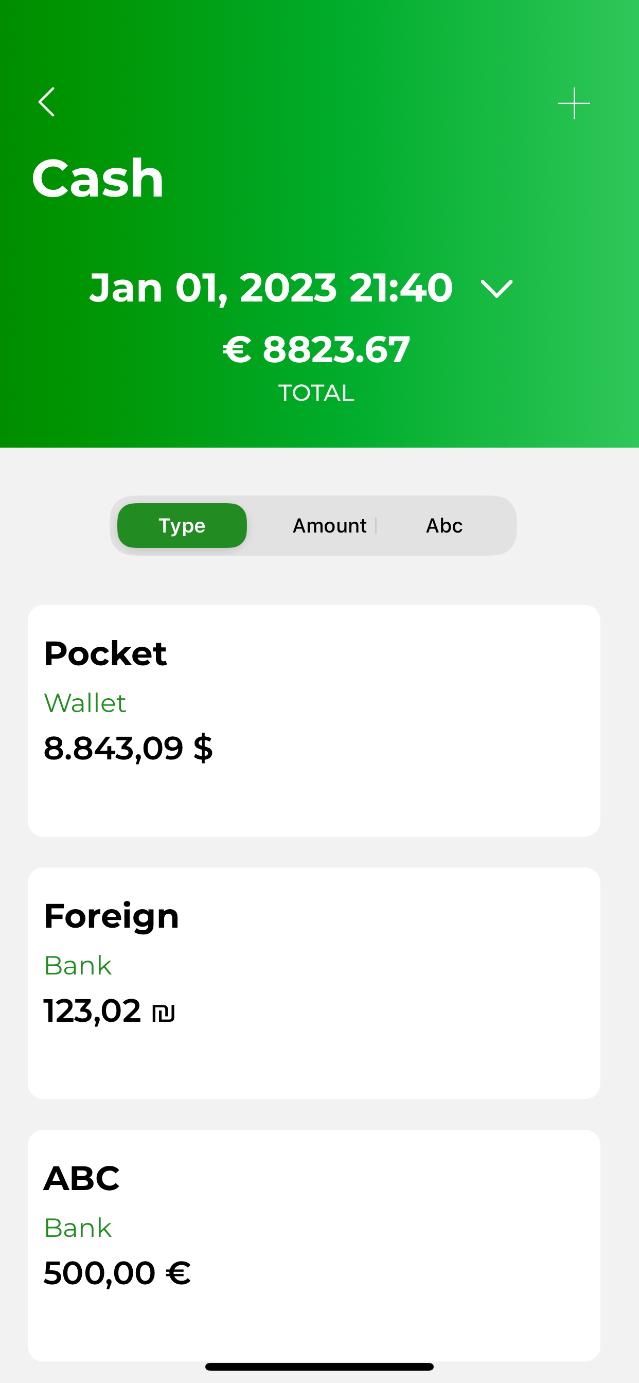 Account Ant - money manager