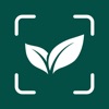 Plant Identification Diagnosis icon
