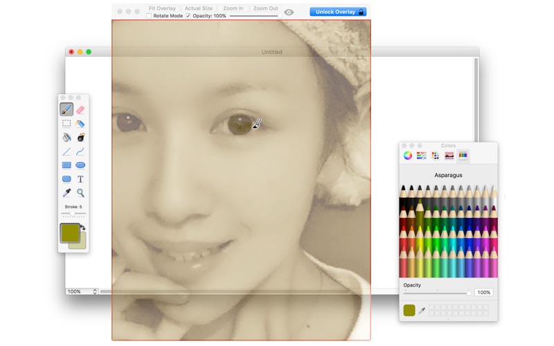 Screenshot #1 pour Overlay