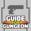 Guide for Enter the Gungeon App Support