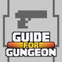 Guide for Enter the Gungeon app download
