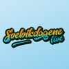 Svelvikdagene icon