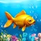 Big FishBass - Your Complete Fishing Companion