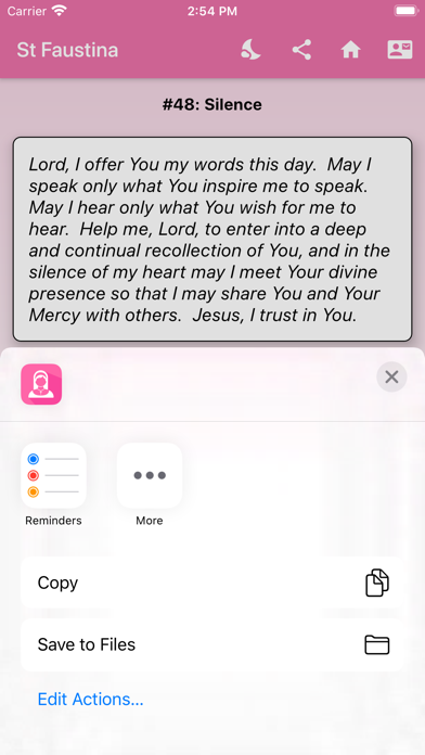 Reflections on Divine Mercy Screenshot