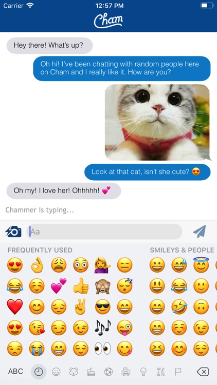 CHAM – Find People to Chat screenshot-3