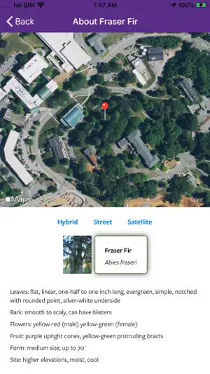 WCUTrees screenshot 3