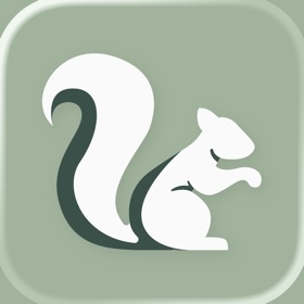 Hazel Money: Net worth tracker
