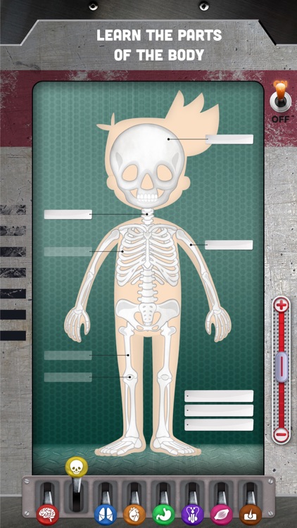 The Human Body: Learn Anatomy screenshot-3