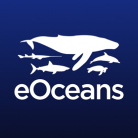 螢幕擷取畫面 (10) eOceans
