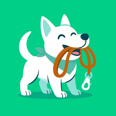 Hundeo: Hundetraining