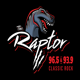 THE RAPTOR ROCKS