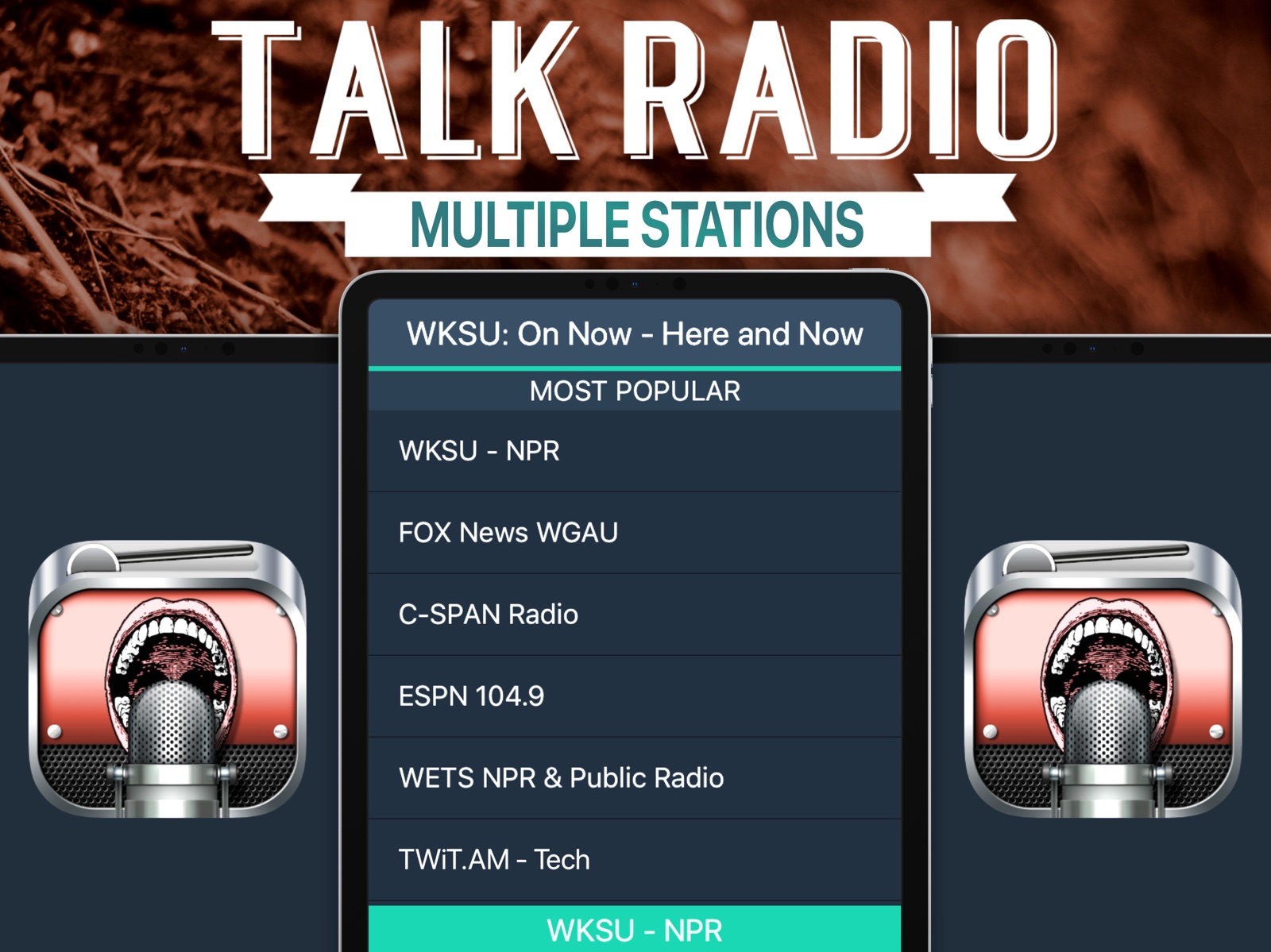 Talk Radio+ ipad screenshot 1