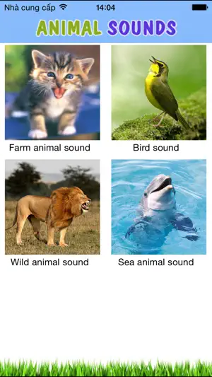 Wild Animal Sounds HD screenshot 1