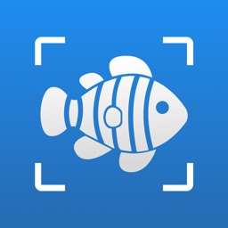 AI Fish Identifier by Picture