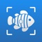 Transform your fishing trips, aquarium adventures, or marine exploration into an interactive learning experience with Fish Identifier AI