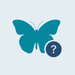 Identification Papillons: IA
