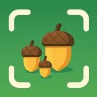 Seed Identifier - AI Scan