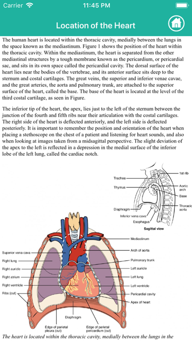 Learn Heart Anatomy screenshot 8