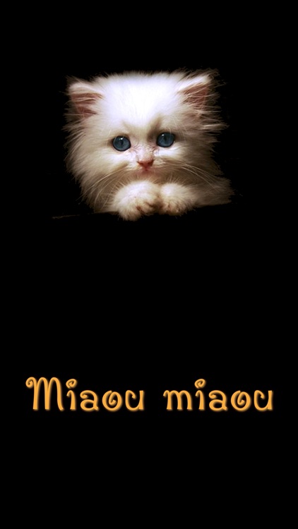 Miaou Miaou: Animal Discovery