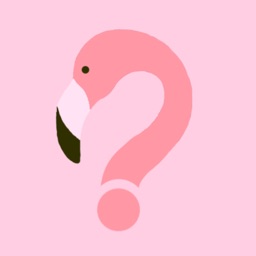 AskFlamingo
