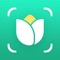 Discover the Ultimate Plant Care Companion - Your Personal AI Plant Expert