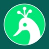 My Peacock icon