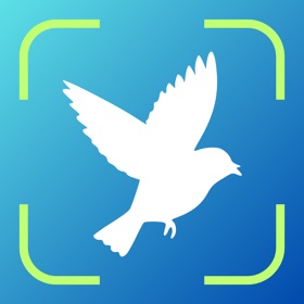 Bird Identifier - Birding ID