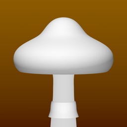 Champignons, version iPad