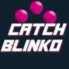 Catch Blinko icon