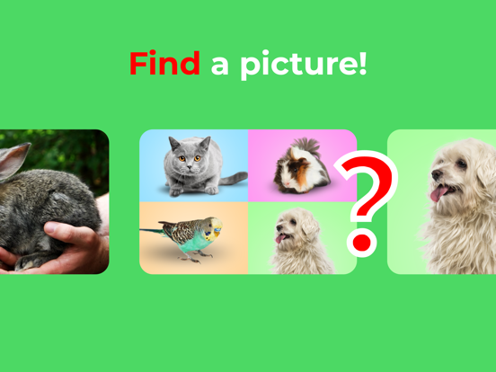 Flashcards. Animal sounds. ABC iPad screenshot 3 - Education app