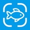 Welcome to "Fish Identifier: AI Scanner" - the revolutionary app transforming the way you interact with the aquatic world