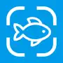 Fish Identifier: AI Scanner