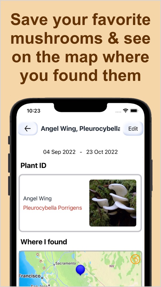 #9. Forest Mushroom Identification (iOS) 由: Kesifler Dunyasi Ltd.