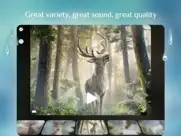 rainy sleep rain sounds hq 3d ipad resimleri 2