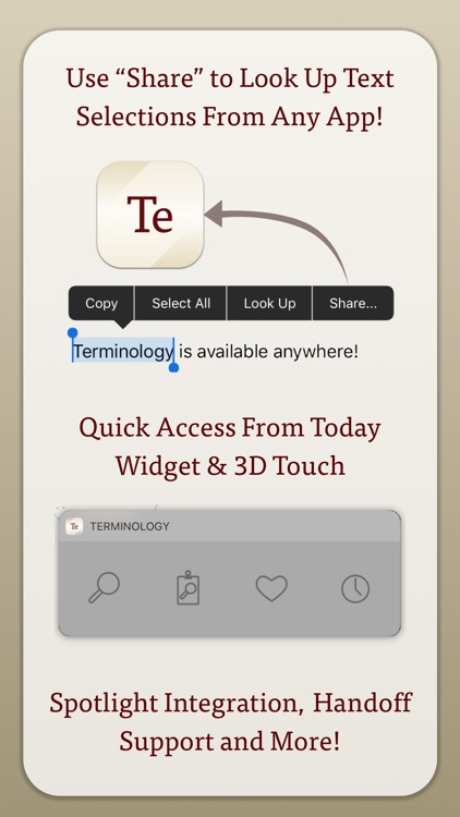 Terminology screenshot-3