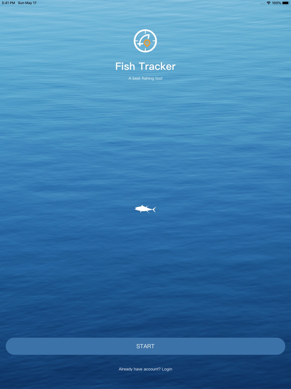 iPad screenshot