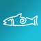 Fish Swami is a fishing app that helps you get more out of your fishing trips