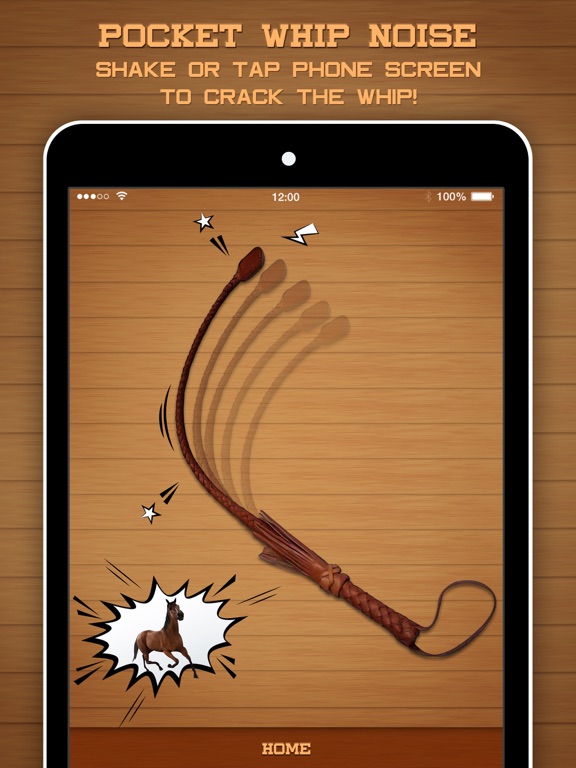 Screenshot #5 pour Pocket Whip Noise