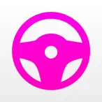 Lyft Driver