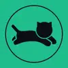 VPN cat master - act vpn Positive Reviews, comments