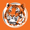 TigerPizza | Доставка Еды